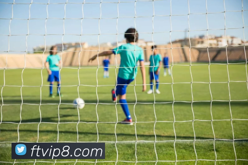 富途牛牛官网APP 封面图